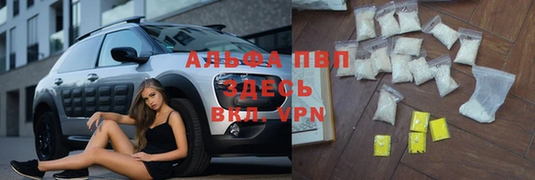 мескалин Богданович